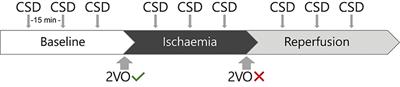 Spectral and Multifractal Signature of Cortical Spreading Depolarisation in Aged Rats